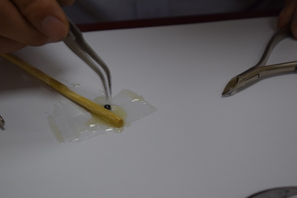 不銹鋼刀具需要粘接的部位 不銹鋼刀具需要粘接的部位